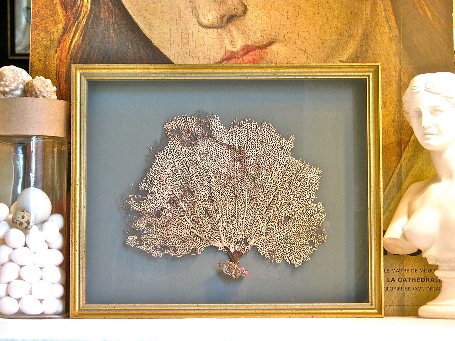 Framed Sea Fan