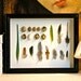 Large Bird Egg and Feather Field Study