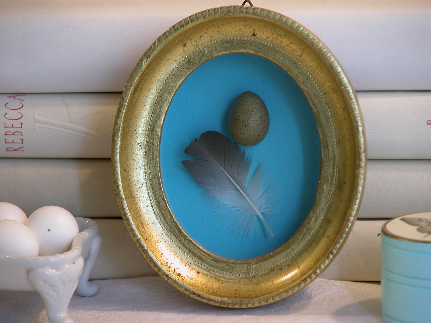 Bird Egg and Feather Display Case by on Etsy