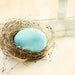 boy baby shower ideas nesting photo blue wall art boy nursery bird nest photograph 8x10 fine art still life