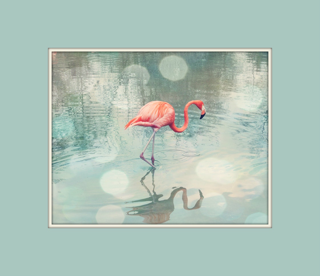 Flamingo photography coral mint teal wall art fine art bird photography 8x10 flamingo print home decor