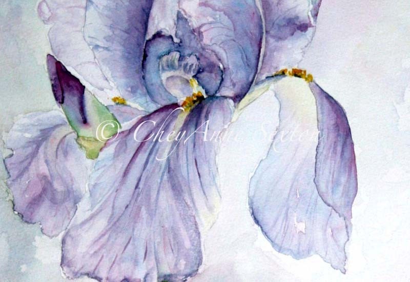 Purple Iris Watercolour Painting original Fine Art Home Decor