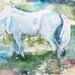 White Horse Art - Sugar - in the Apple Orchard Meadow - watercolor giclee 16x20 - Equine Fine Art