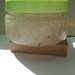 Mint Salt Scrub