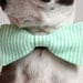 Mint Green and white Striped Dog Bow-tie