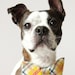 Yellow Plaid Dog Bow-tie - Handmade Dog Accessories - Regular and Large Sizes