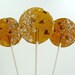 Espresso Coconut Jalapeno Lollipop - java lovers foodie gift