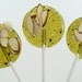 Matcha Green Tea with Toasted Almonds and Pear - Lollipop