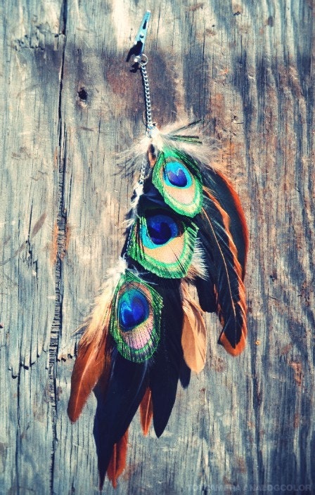 Wild Winds Multi colored peacock feather hair clip