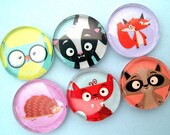 Woodland Animals Magnet Set - Inch Circle Glass