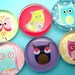 Owl Magnets - Vibrant Colors - Set of Six