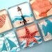 Beach Magnets - Seashells and Sailing - Inch Square Glass