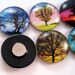 Tree Magnets - Set of Eight Glass Magnets - 1 Inch Strong Magnets