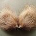 Brown Long Fur Ears Costume Hair Clips Cat Fox Wolf Coyote Halloween Cosplay