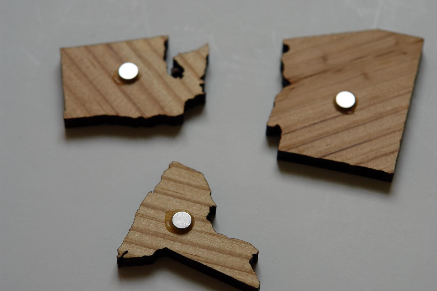 Interstate Map Puzzle - Long Leaf Pine