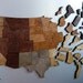 USA Map Puzzle - Stained Plywood