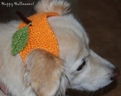 Thanksgivings fall fashion  sale Halloween Dog cat hat headband hat Pumpkin hand knit any size special order. Ready to ship from Colorado