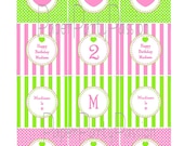 Bubble Gum Pink and Lime Green Square Or Circle Labels or Tags-EDITABLE and PRINTABLE, PDF Files-You Type Your Own Text