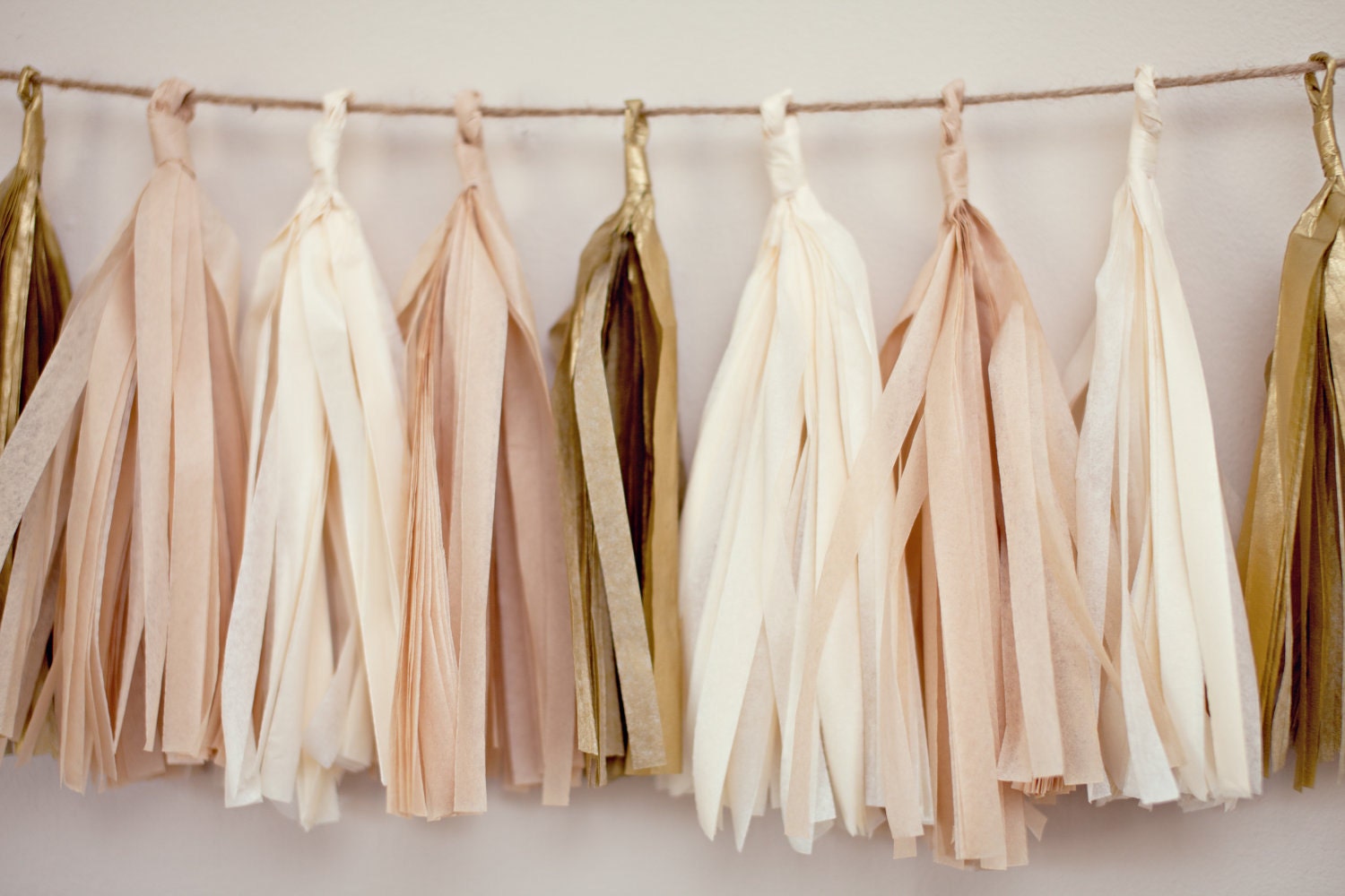 Tassel Party Garland: Blush
