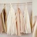 Tassel Party Garland: Blush