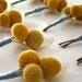 10 Crasepdia Boutonnieres