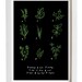 Kitchen Art Print Herbs 11"x15 Botanical Chart Mediterranean Black Garden - archival fine art giclée print