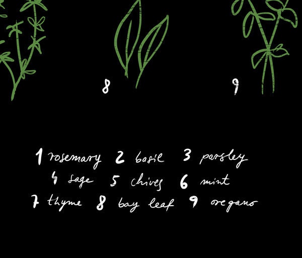 Kitchen Art Print Herbs 11"x15 Botanical Chart Mediterranean Black Garden - archival fine art giclée print