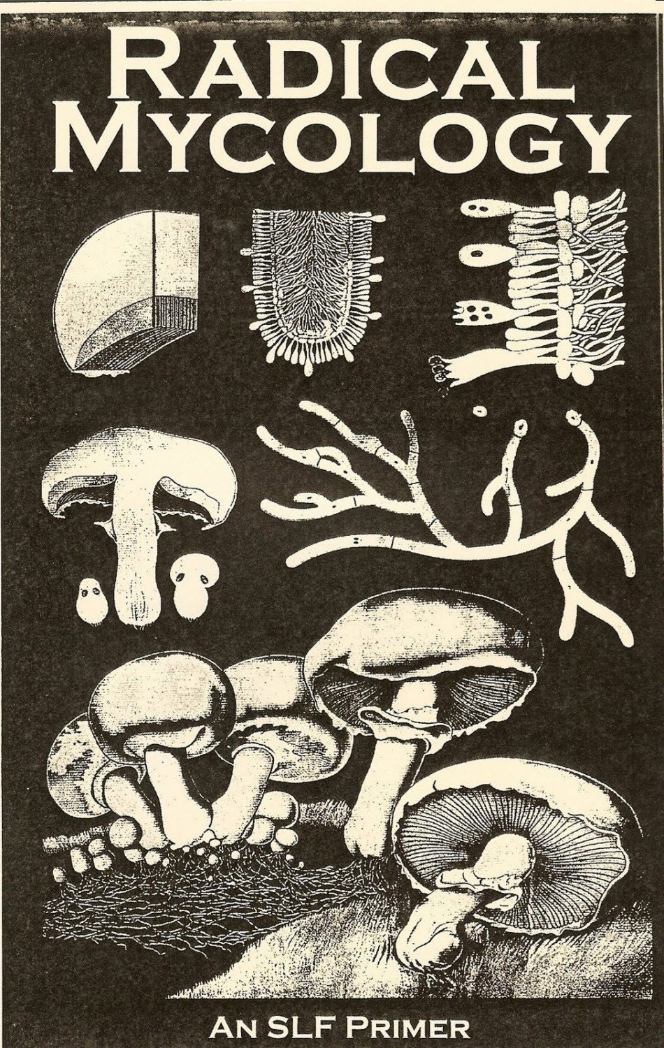 Radical Mycology (Zine)