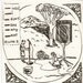 Well, I Don't See Why Not, Vol. 2: A Northwest Indie Music Compilation (CD)
