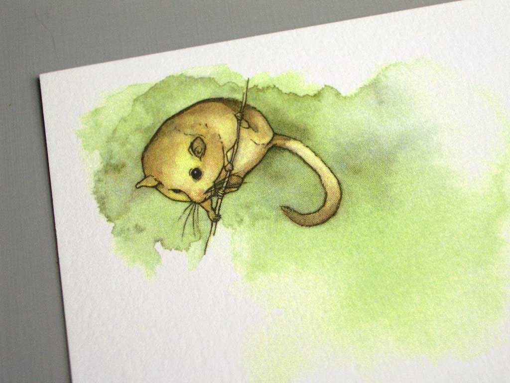 Dormouse - Postcard