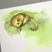 Dormouse - Postcard