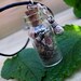 Magickal Money Drawing Talisman, Luck, Success,Prosperity, Abundance