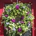 Shades Of Violet Floral Door Wreath