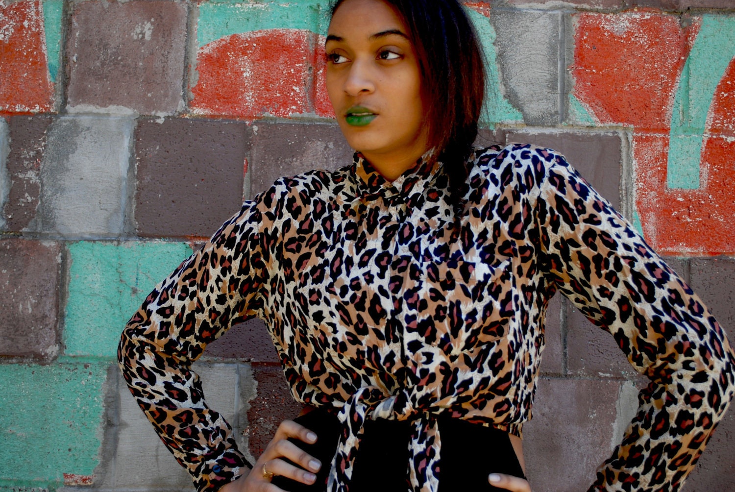 Vintage Leopard Crop Blouse Medium