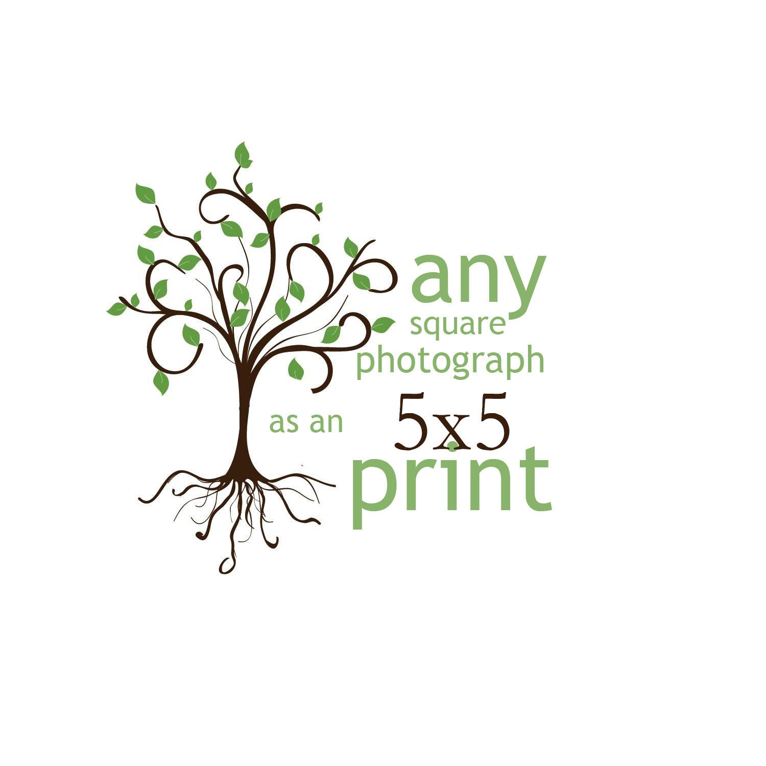 Any square photograph as an 5x5 print
