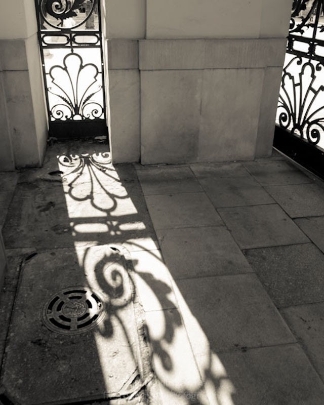 Shadows & Lace - 8x10 fine art print