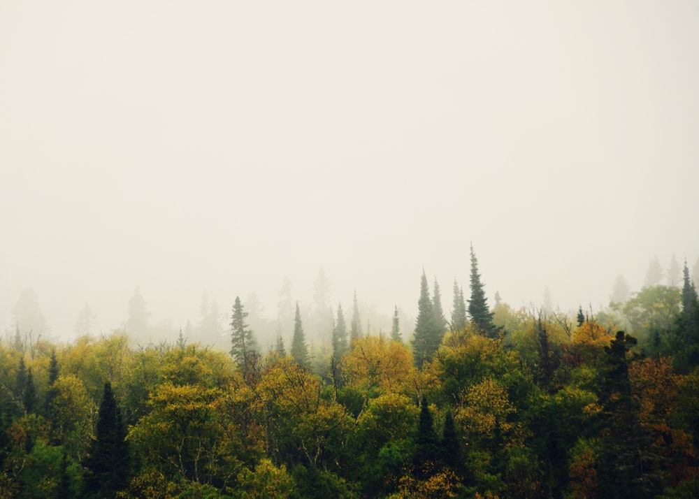 North of Wawa 01 - 8x10 fine art print - autumn fall landscape trees