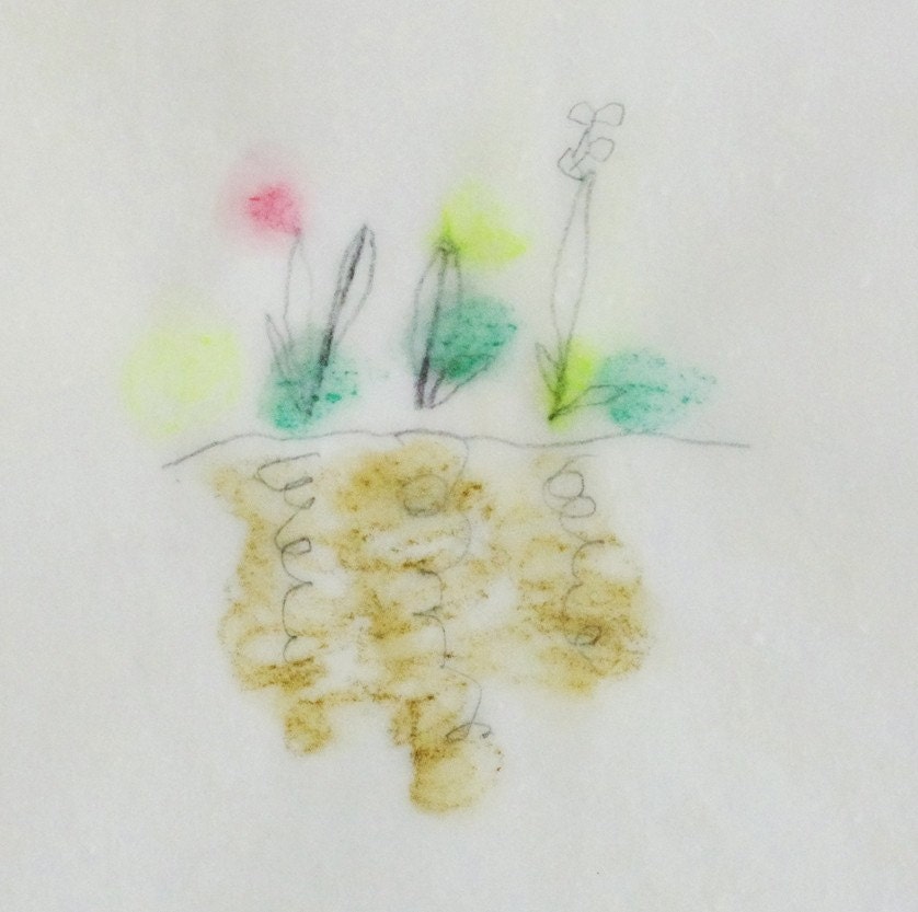 Spring Garden / Spring Meditation Drawing no.1 / Drawing on Japanese Paper