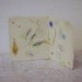 Page From The Book of Spring / Mixed Media on Japanese Paper