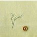 15% OFF One Lone Winter Tree / Winter Meditation no. 9 / Mixed Media on Japanese Paper