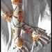 Orange Blossom Arm Warmers - Cream - Sumi Style Floral Branches Soft Modal - Yoga Gothic Belly Dance Fusion Light Goth Cycling Hula Hooping