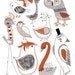 Kooky Birds