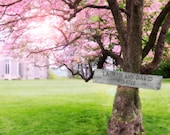 Personalized Wooden Sign Print- Sunlit Cherry Tree With Castle in Background- Romantic Gift for Wedding, Anniversary, or Valentine