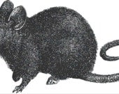 Rat cross stitch pattern pdf