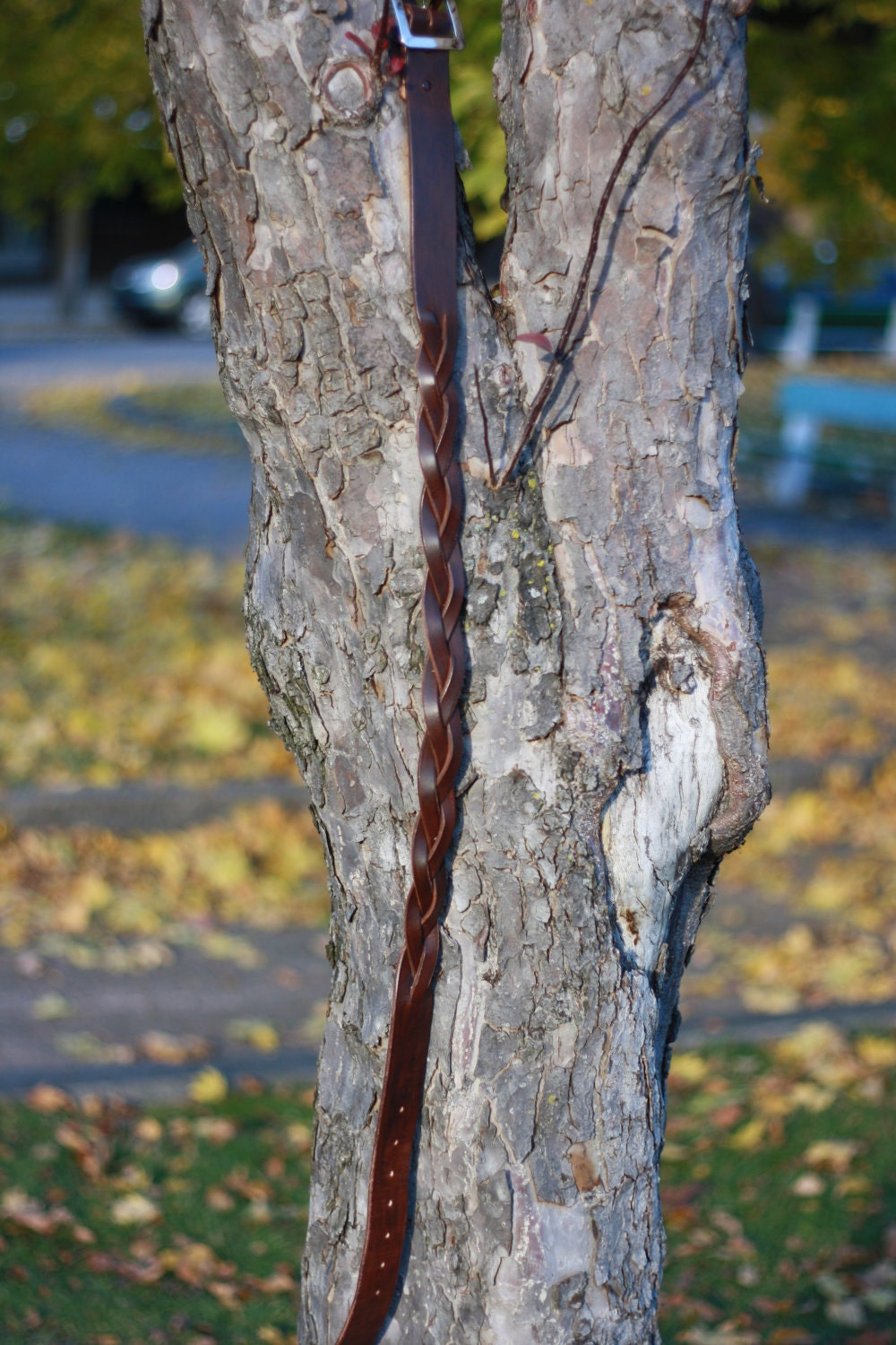 Brown leather belt Mystery braid