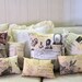 Leonardo DaVinci pillow