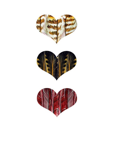 I LOVE BIRDS 2 three hearts - archival quality print