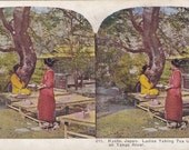 Japan Stereoview Card from Late 1800s-087