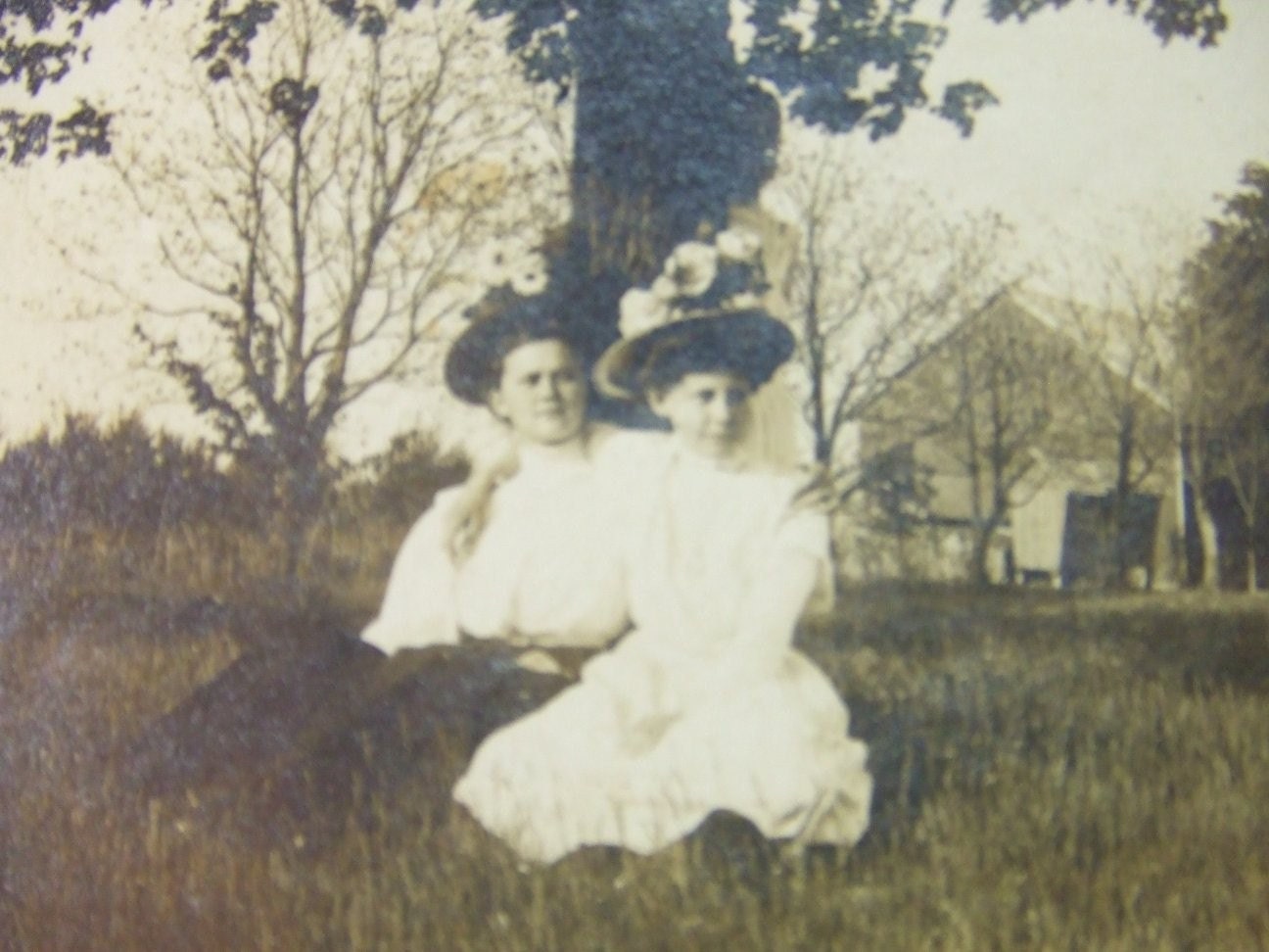 Vintage Photograph of 2 Women Under Tree