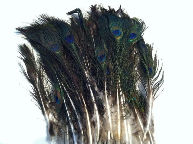 Peacock Feathers Natural Full Eye Tails 6 feathers